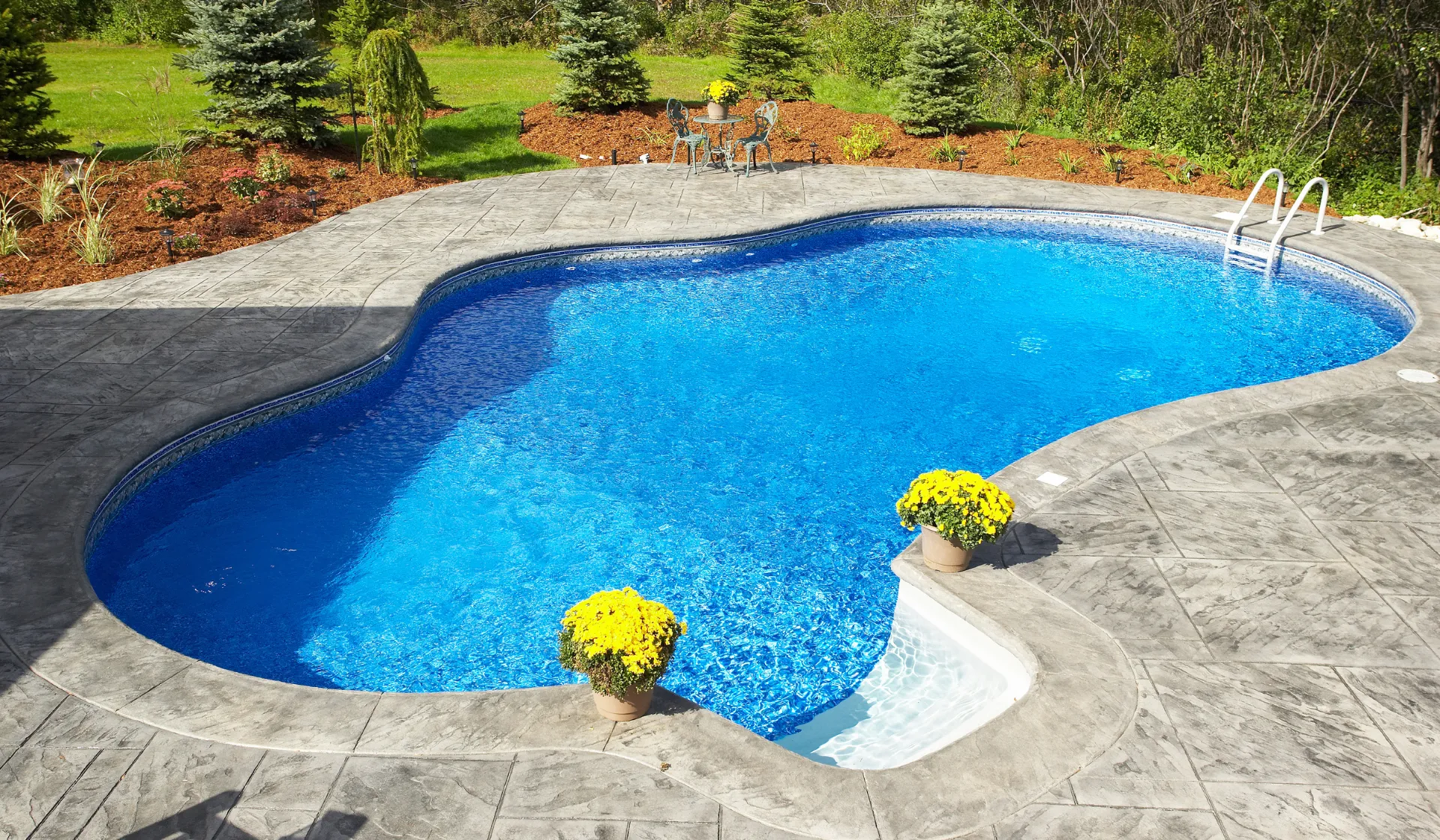 Resort-style swimming pool in a San Diego residential backyard with palm trees, representing the type of premium pool projects that LeadGulls pool marketing agency campaigns help San Diego pool builders attract